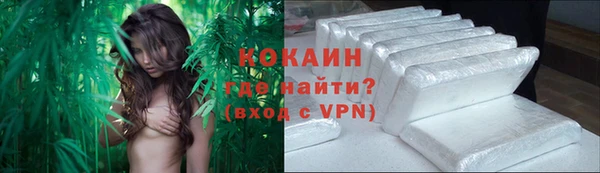 PSILOCYBIN Верхний Тагил