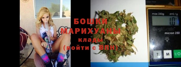 сатива Богородицк