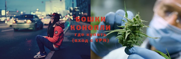 сатива Богородицк