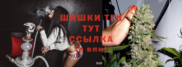 PSILOCYBIN Верхний Тагил