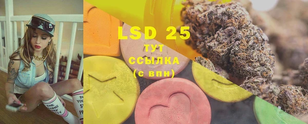 PSILOCYBIN Верхний Тагил