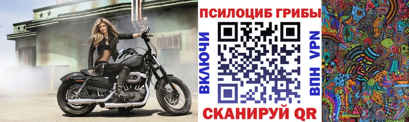 Галлюциногенные грибы Psilocybine cubensis  мега зеркало  Вятские Поляны 