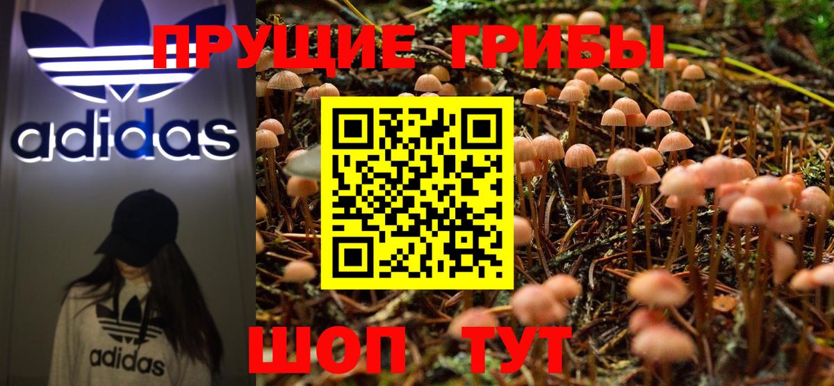 Галлюциногенные грибы Cubensis Вятские Поляны