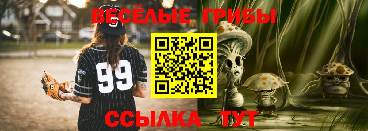 Галлюциногенные грибы Cubensis  Галлюциногенные грибы Cubensis  Вход с VPN  Вятские Поляны 