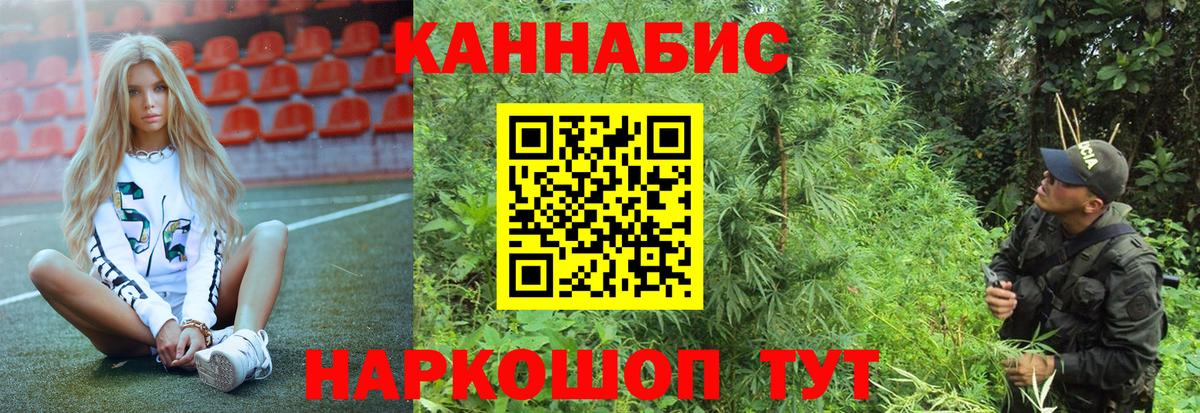 Бошки Шишки планчик  Каннабис OG Kush  Вход с VPN  Конопля Ganja  Конопля MAZAR  Вятские Поляны 